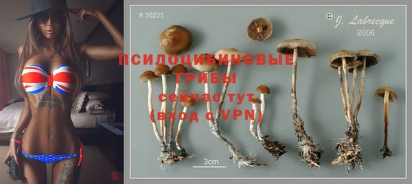 сатива Горняк