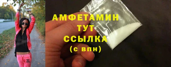 сатива Горняк