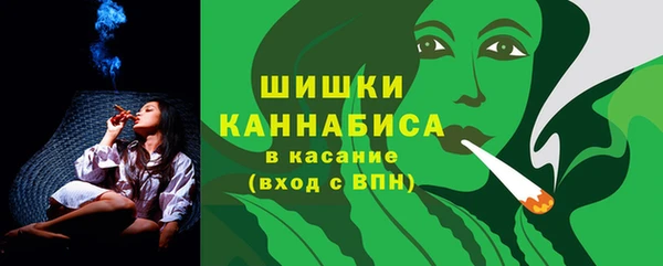 сатива Горняк