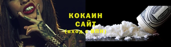 сатива Горняк