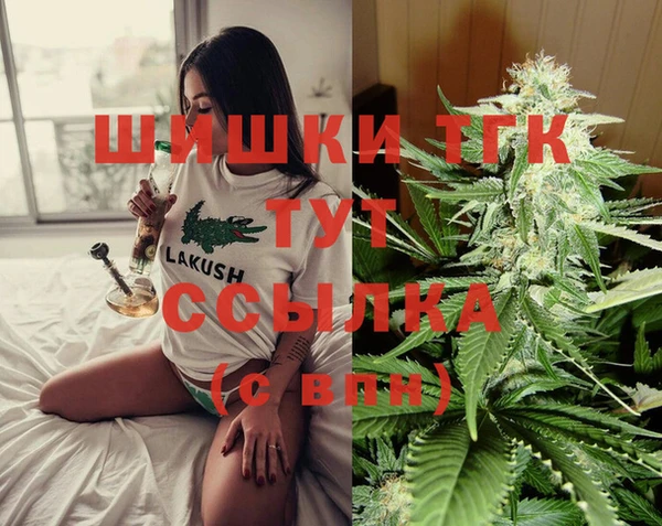 jwh Гусь-Хрустальный