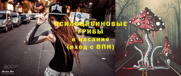 винт Гусиноозёрск