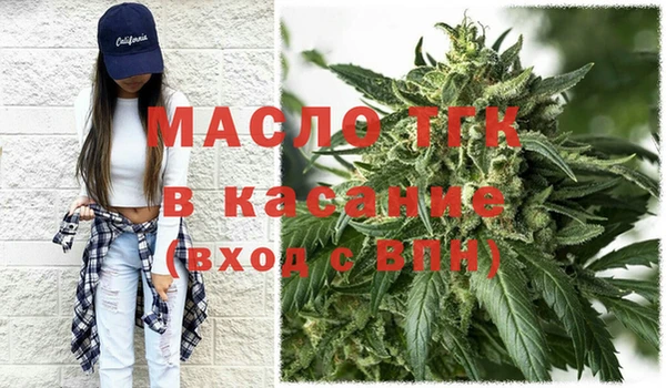 сатива Горняк