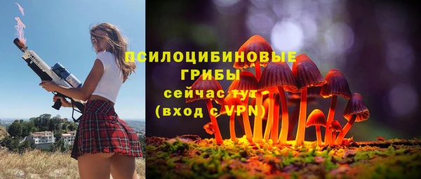 МДМА Горнозаводск