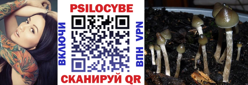 Псилоцибиновые грибы MAGIC MUSHROOMS  магазин  наркотиков  Миасс 